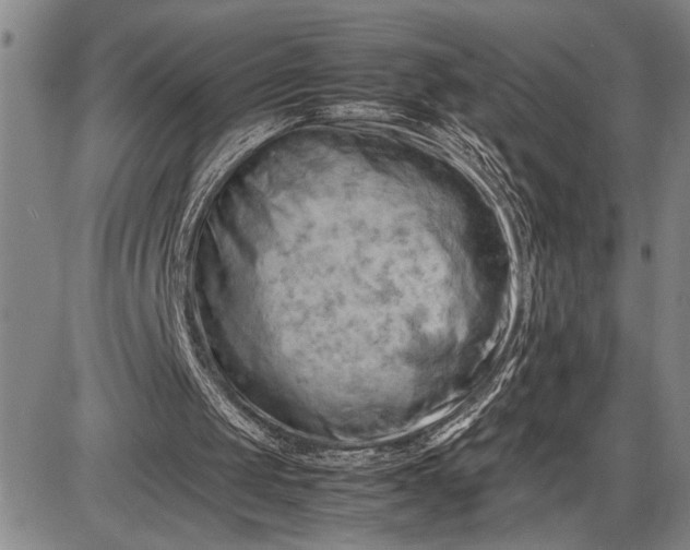 X0000085750049200703301413