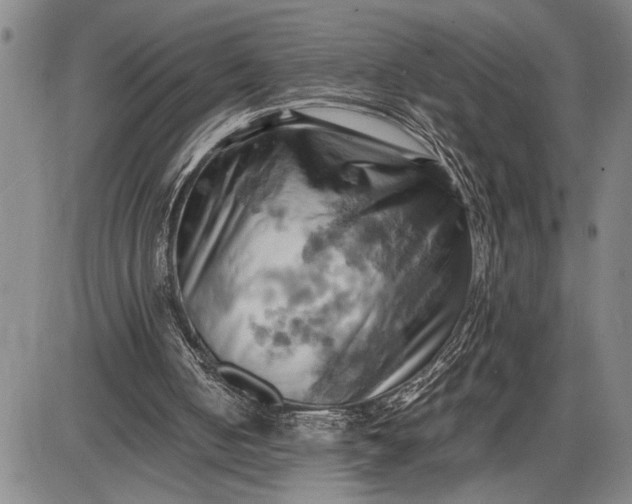 X0000085750050200703301413