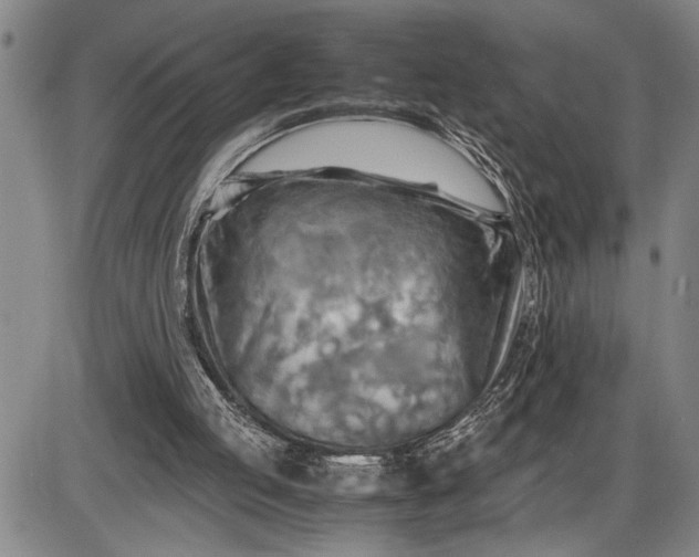 X0000085750053200703301413