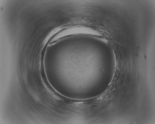 X0000085750054200703301413