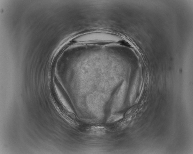 X0000085750055200703301413