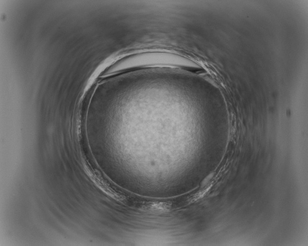 X0000085750056200703301413