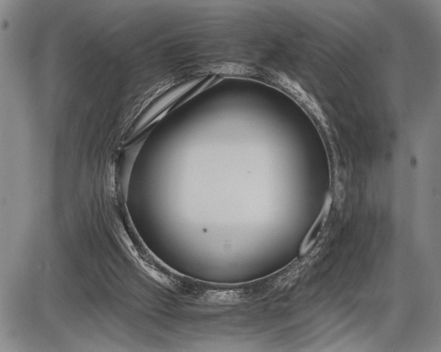 X0000085750057200703301413