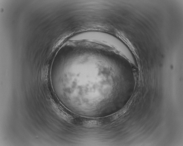 X0000085750058200703301413