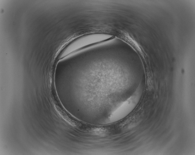 X0000085750059200703301413