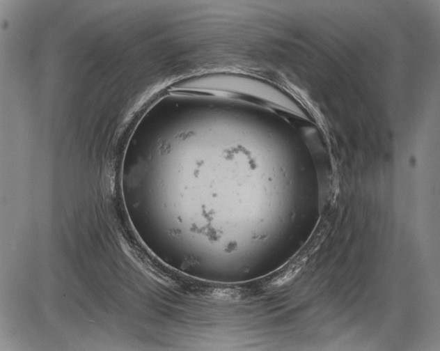 X0000085750060200703301413