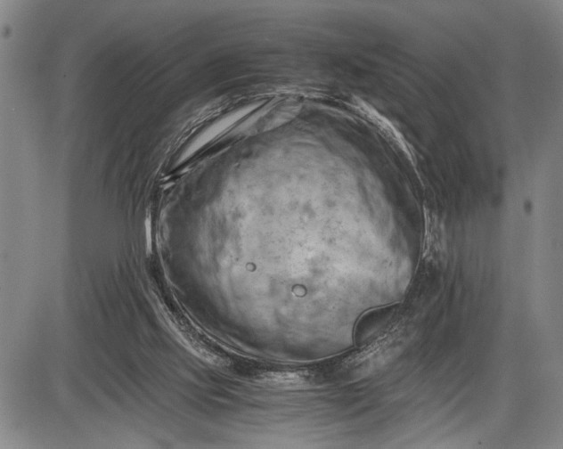 X0000085750061200703301413