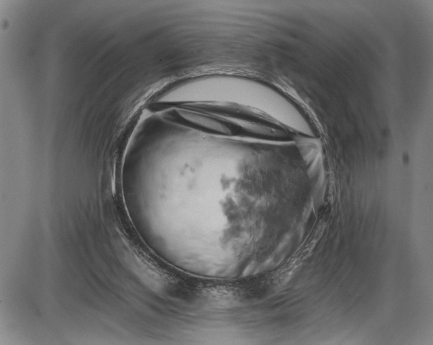 X0000085750062200703301413