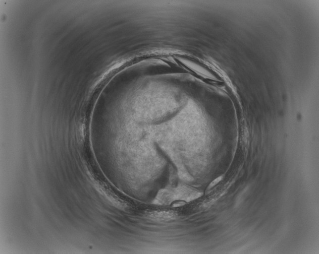 X0000085750063200703301413