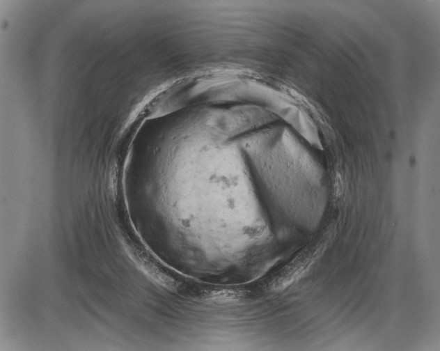 X0000085750064200703301413