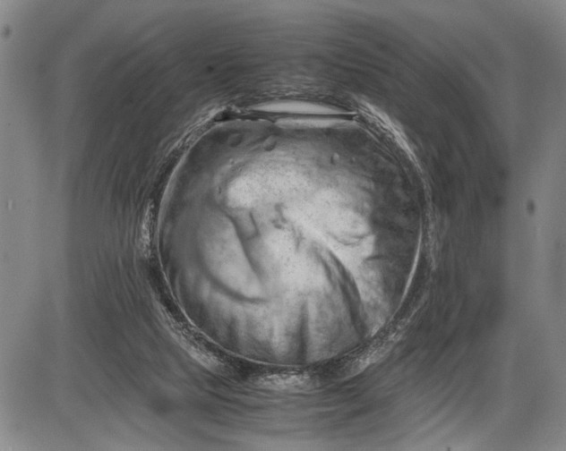 X0000085750065200703301413