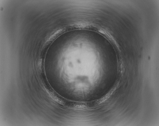 X0000085750066200703301413