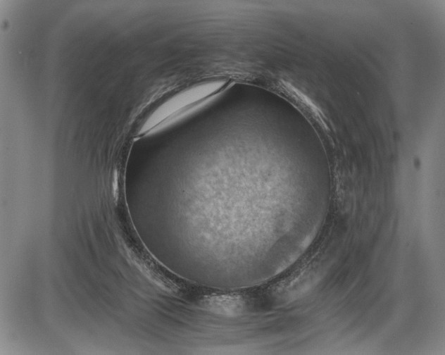 X0000085750067200703301413