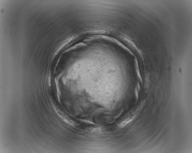 X0000085750068200703301413