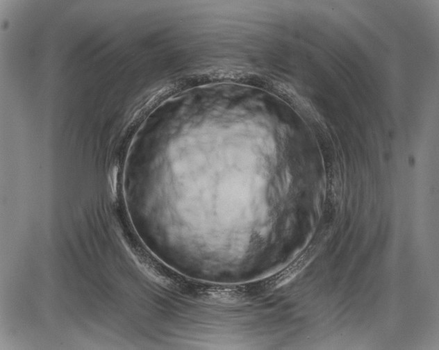 X0000085750070200703301413