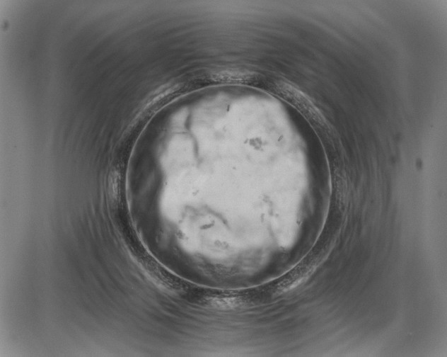 X0000085750071200703301413