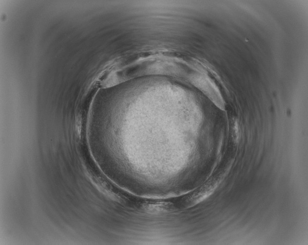 X0000085750072200703301413