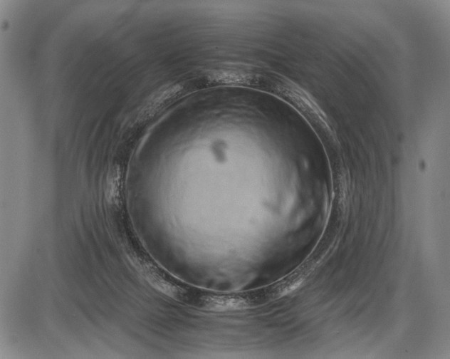 X0000085750073200703301413