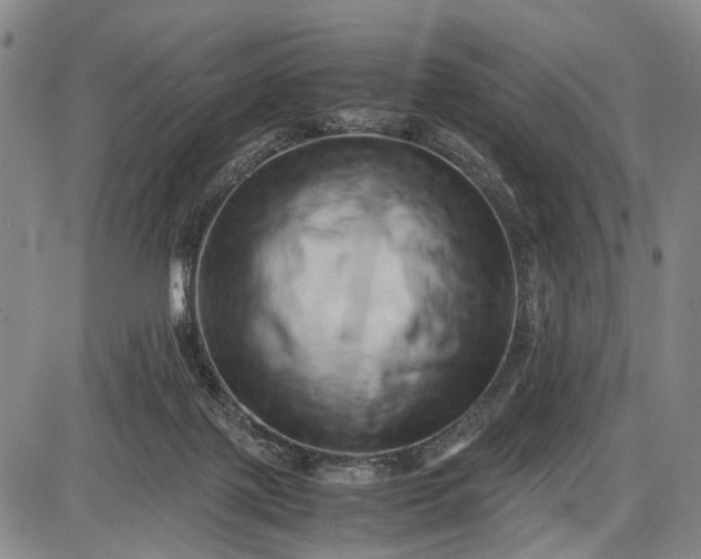 X0000085750075200703301413