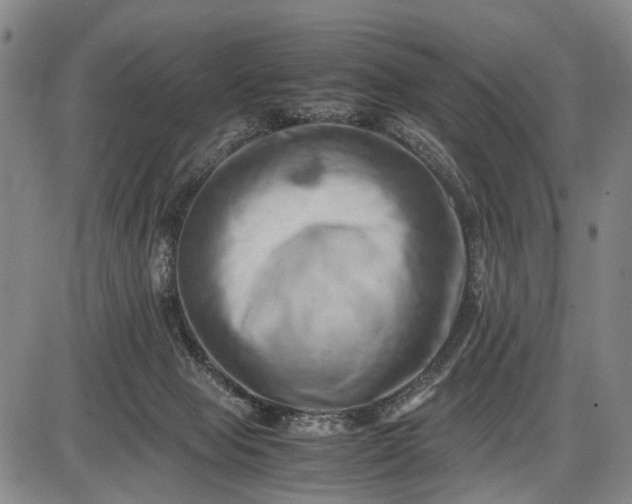 X0000085750077200703301413