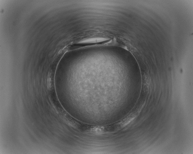 X0000085750080200703301413