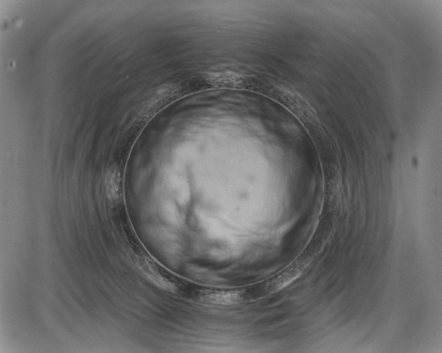 X0000085750081200703301413