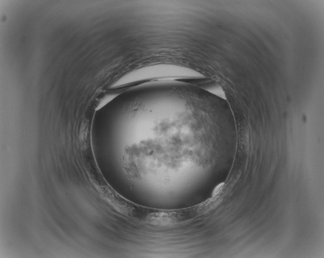 X0000085750082200703301413