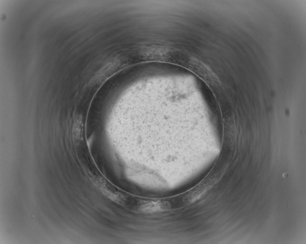 X0000085750083200703301413