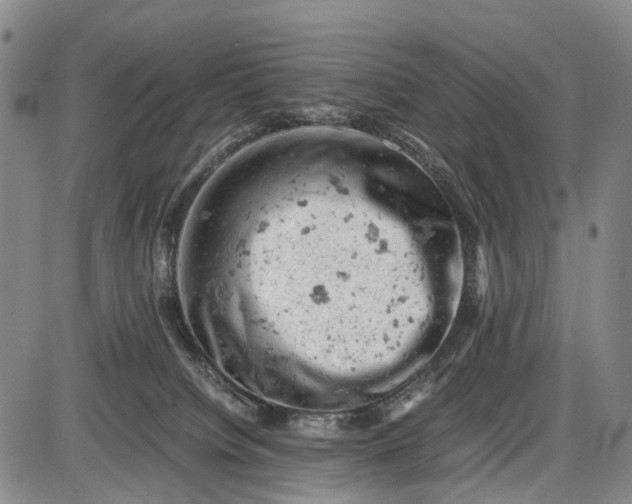 X0000085750084200703301413