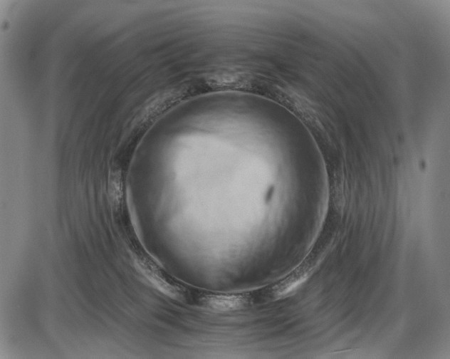 X0000085750085200703301413