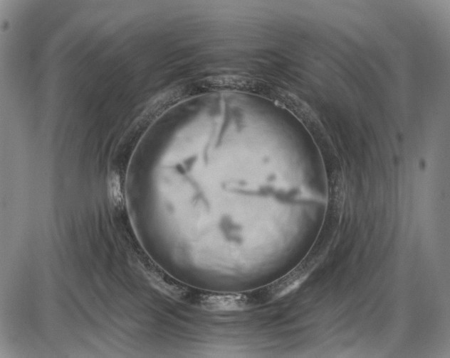 X0000085750089200703301413