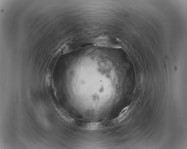 X0000085750090200703301413