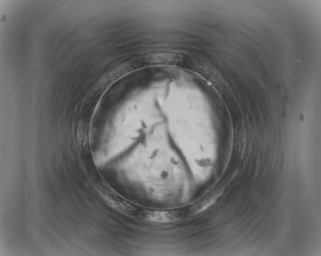 X0000085750091200703301413