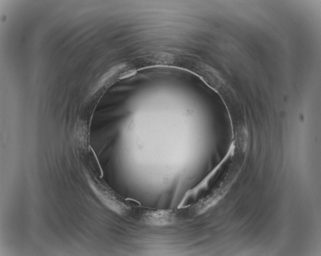 X0000085750092200703301413