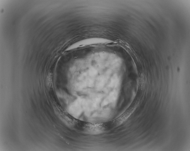 X0000085750093200703301413