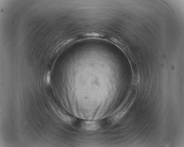 X0000085750095200703301413