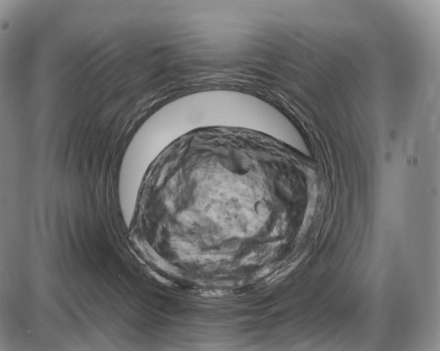 X0000085750096200703301413