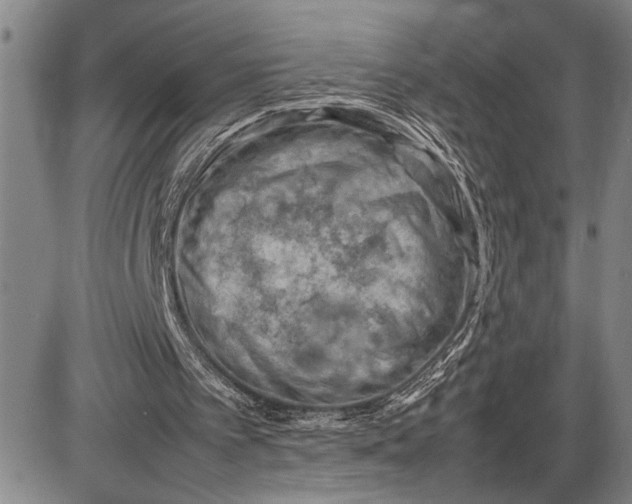 X0000085750097200703301413