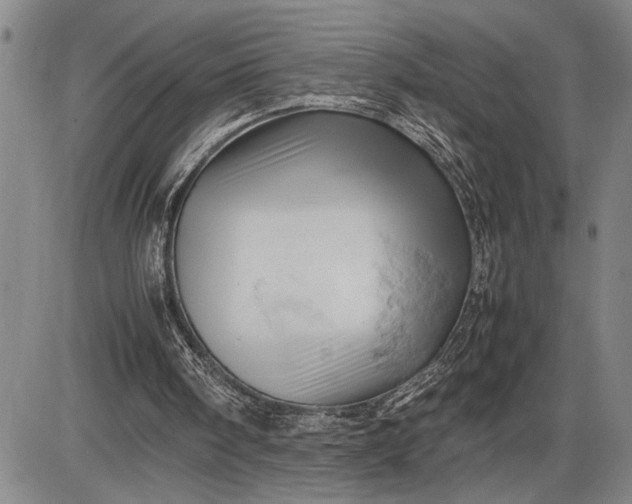 X0000085750098200703301413