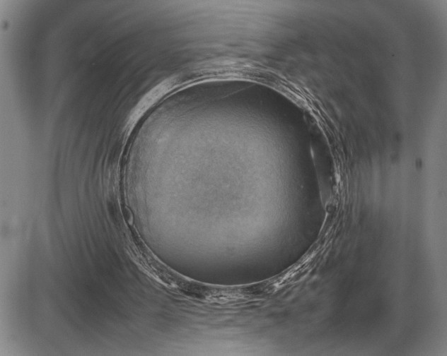 X0000085750099200703301413