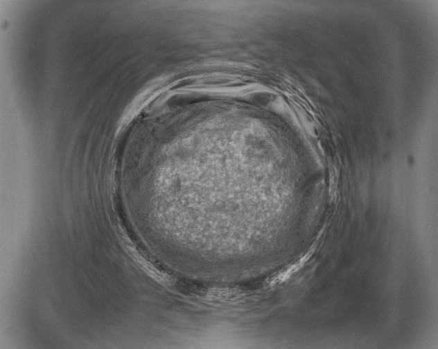 X0000085750101200703301412