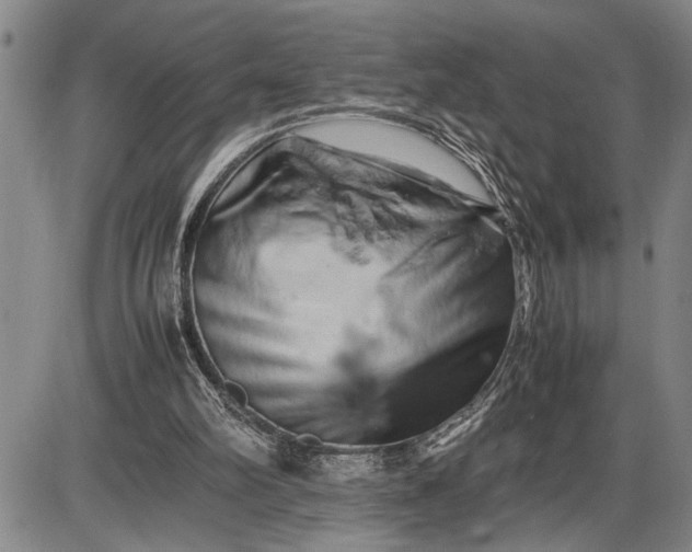 X0000085750102200703301412