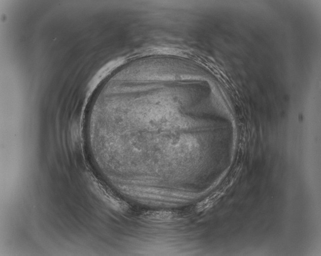 X0000085750104200703301412