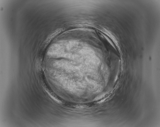 X0000085750105200703301412