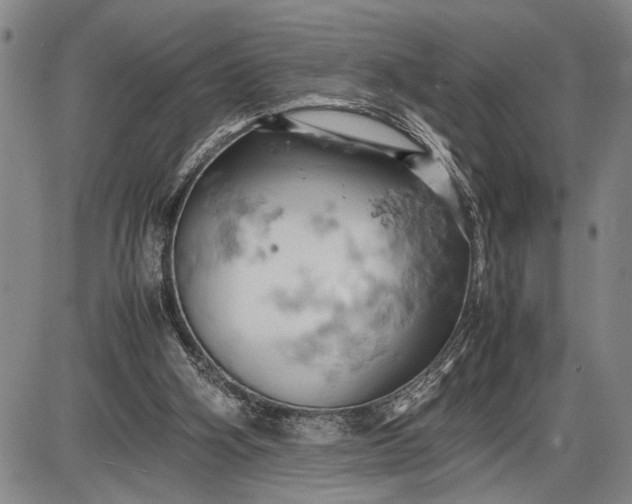 X0000085750106200703301412