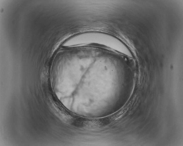 X0000085750107200703301412