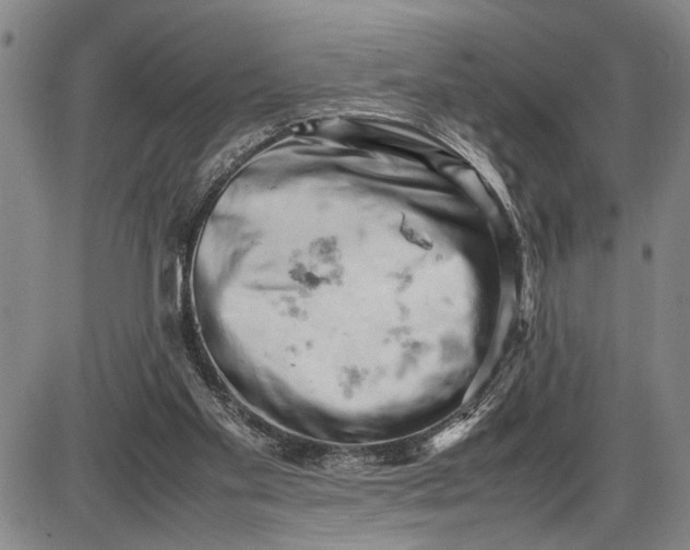 X0000085750109200703301412