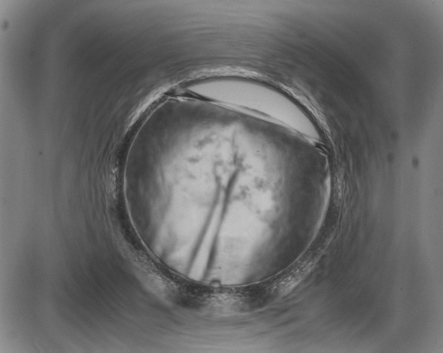 X0000085750111200703301412