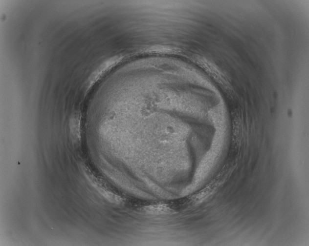 X0000085750112200703301412