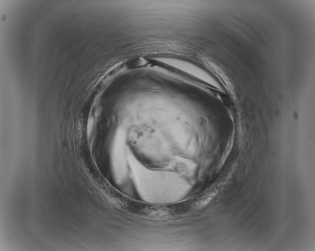 X0000085750113200703301412